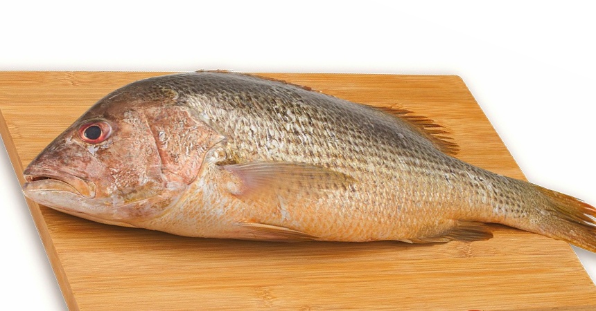 Dorada a la sal: este es el tiempo máximo al horno según el peso