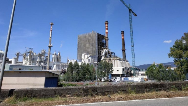 La AN estima los recursos de Greenpeace y Ayuntamiento de Pontevedra contra la prórroga a Ence