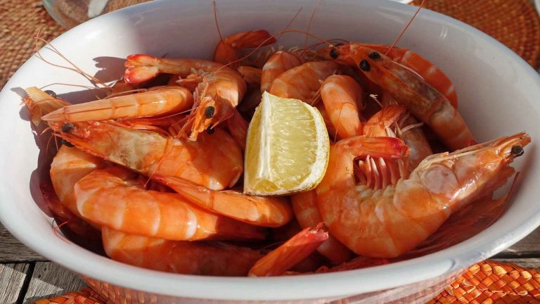 Este es el motivo por el que las gambas se ponen negras