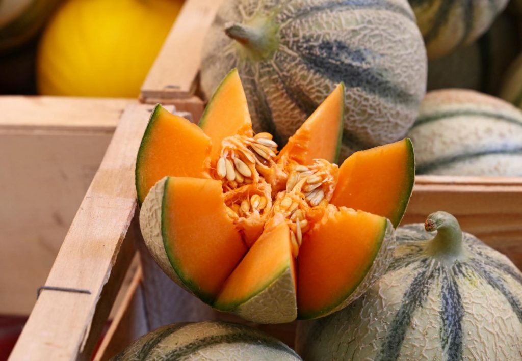 ¿Qué es el melón?