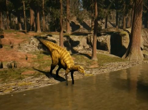 Hallan una nueva especie de dinosaurio en Portell