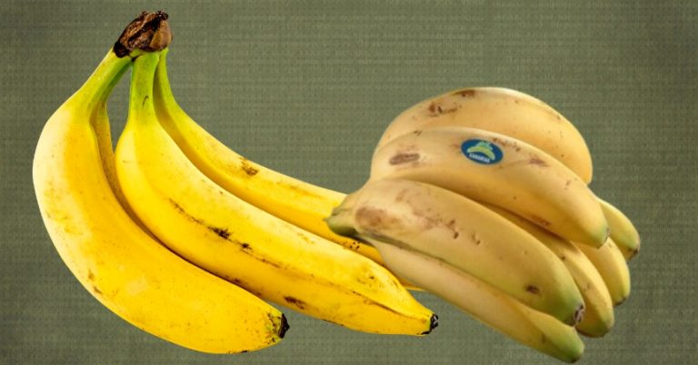Helado de plátano: ¿es mejor con plátanos de Canarias o bananas?