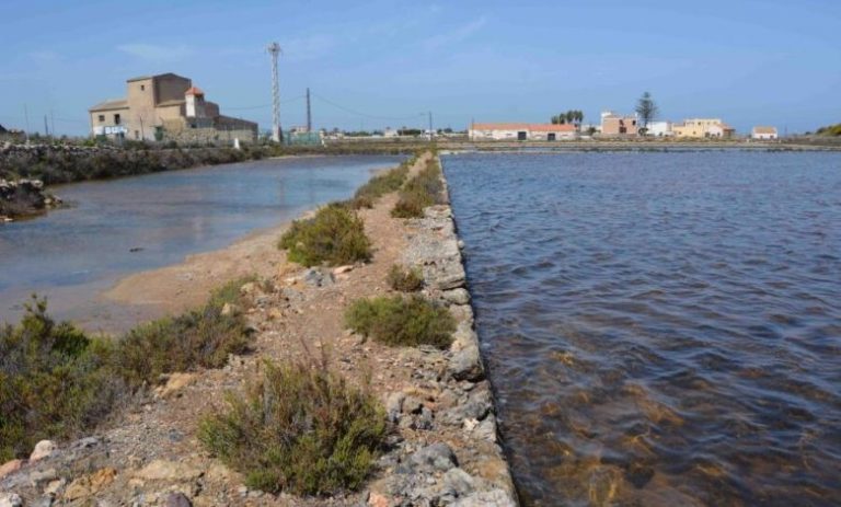Fundación Primafrio y ANSE trabajarán en la conservación de arenales y humedales