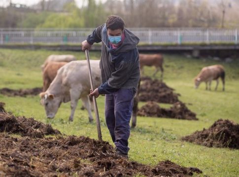 La explotación agraria media en España tiene 46,9 hectáreas