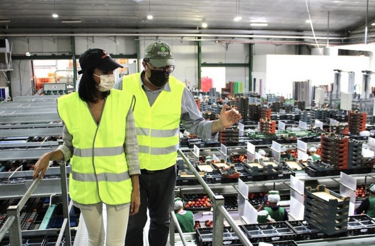 Las empresas hortofruticolas consiguen desperdiciar un 20% menos gracias a la digitalización