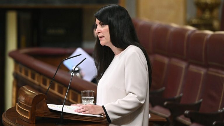 Vox calcula que el Estado perderá más de 720 millones en multas tras el fallo del TC