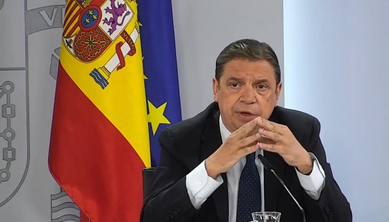 Planas presenta al Consejo de Ministros el informe sobre el estado de la futura PAC