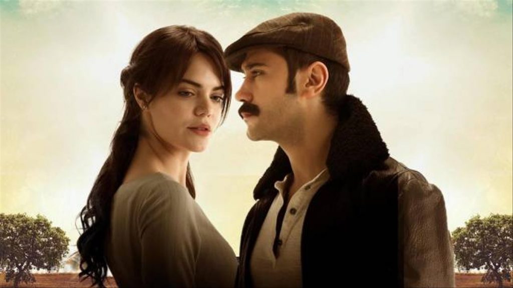 Qué es Tierra amarga