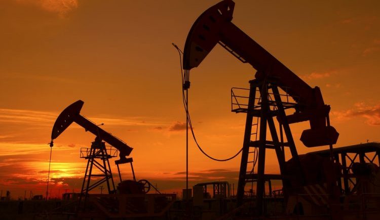 Qué es el sector primario