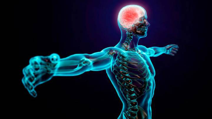 Qué es la ataxia 1 Qué es la ataxia