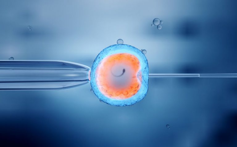 Fecundación in vitro: famosas que recurrieron a ella para ser madres