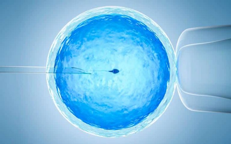 Qué es la fecundación in vitro