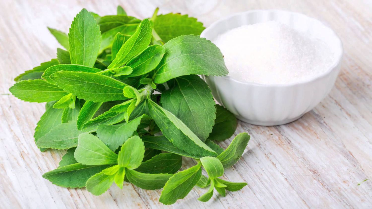 Qué es mejor, la stevia o la sacarina 1 Qué es mejor, la stevia o la sacarina