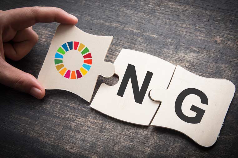 Qué es una ONG 1 Qué es una ONG