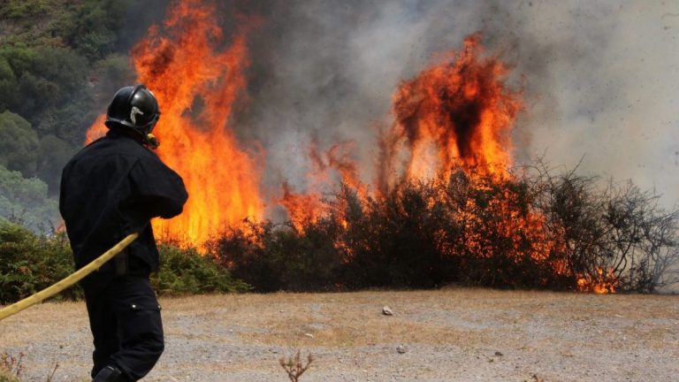 Un estudio revela los 'ingredientes' de los grandes incendios forestales