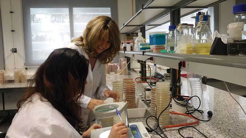 Una investigación Universidad de Extremadura