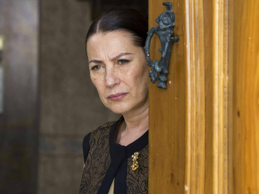 Vahide Perçin: Quién es y qué ha hecho además de Tierra amarga