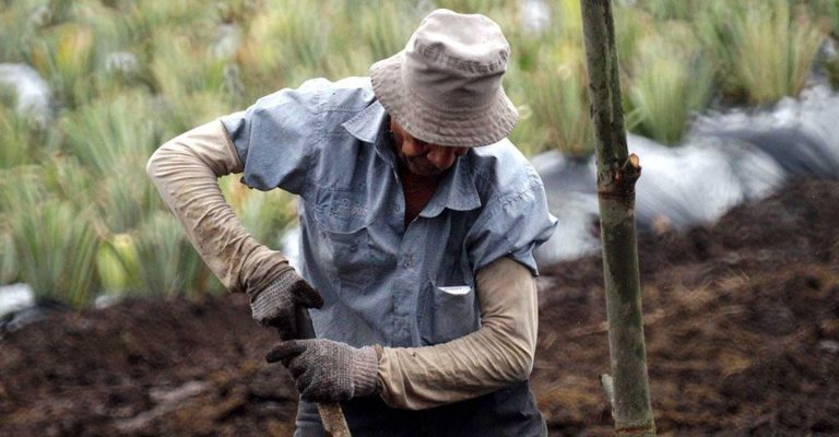 Unión de Uniones lamenta que Trabajo siga poniendo al campo en el centro de la diana de sus inspecciones