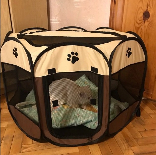 caseta plegable aliexpress
