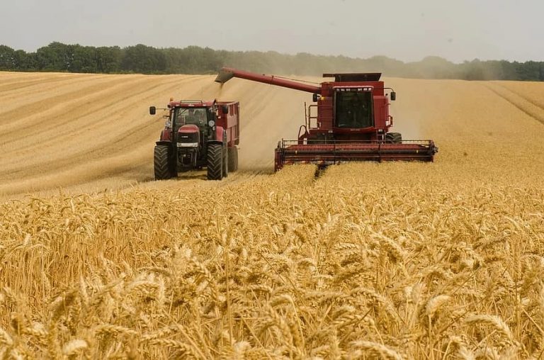 La manipulación de ARN es capaz de disparar las cosechas