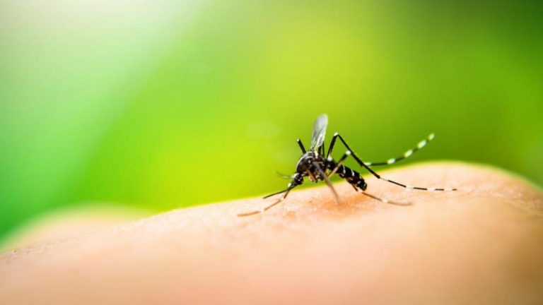 Gadgets eficaces contra los mosquitos