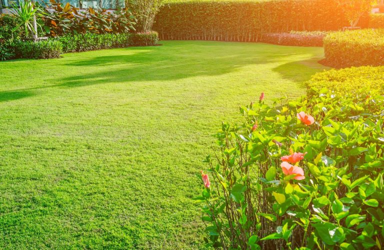 la flexibilidad de Robotic Mowers