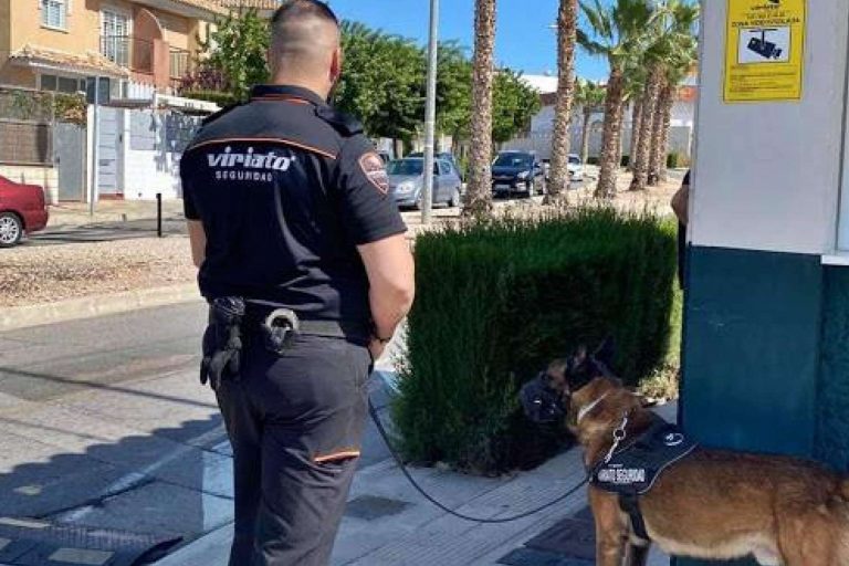 El completo sistema de alarmas en Murcia que ofrece Viriato Seguridad