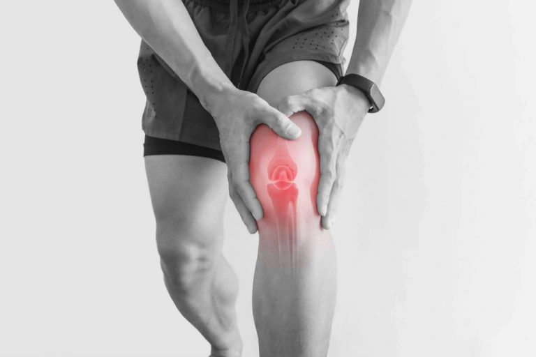 Los componentes de SILIMAX complex y sus efectos en el funcionamiento articular, por Comdiet