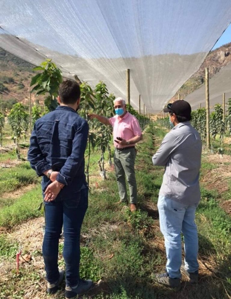 mejorar la calidad de los cultivos gracias a la compañía AGRALIA