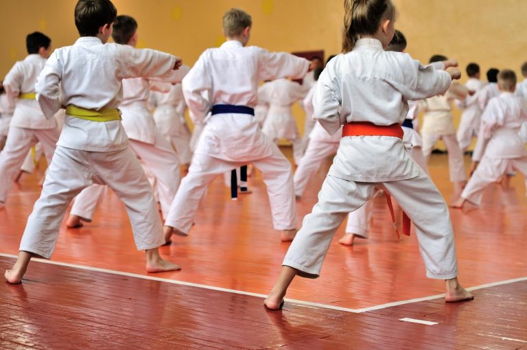 El Dojo, Escuela de Artes Marciales y Kenpo Kai situada en Madrid, es elegida como una de las principales opciones como extraescolar