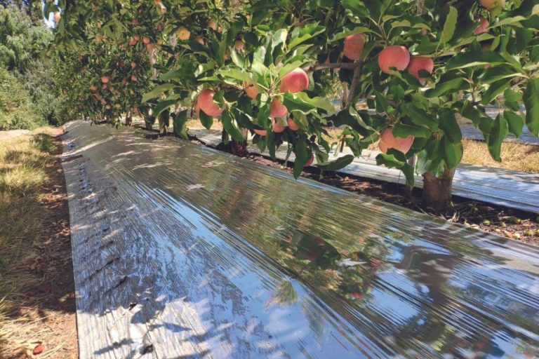 la empresa con tecnología patentada para la protección de cultivos que tiene presencia internacionalmente