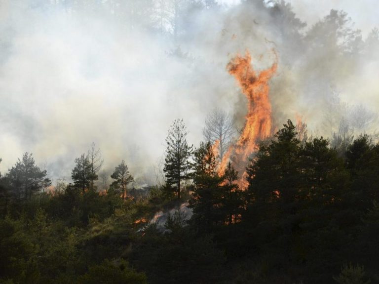 Protección Civil alerta de riesgo de incendios en la Península y Canarias