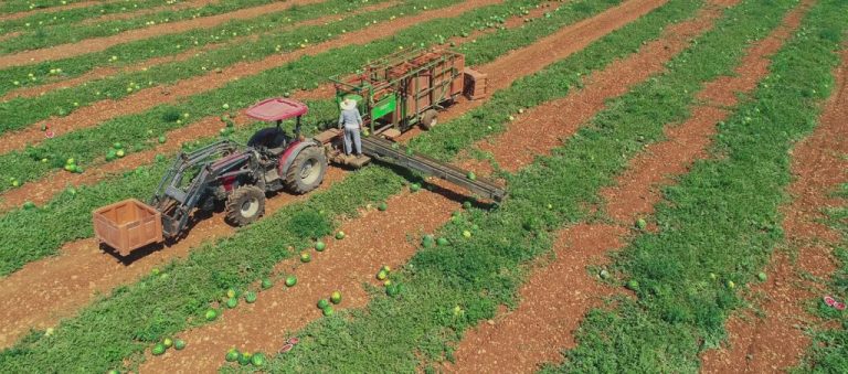 BBVA premia a los diez mejores productores sostenibles de España