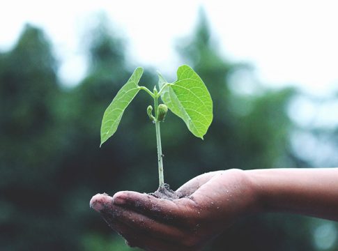 protección ambiental