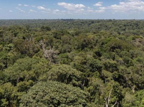 restauracion-medioambiental