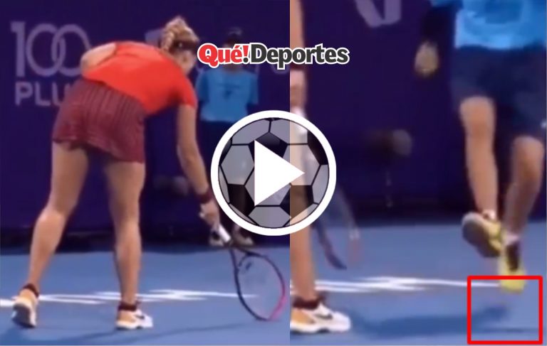 ¡Mira lo que hizo con ese bicho!