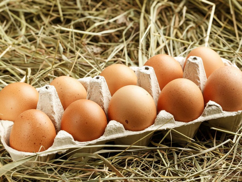 ¿Cuándo los huevos son destinados al consumo humano?