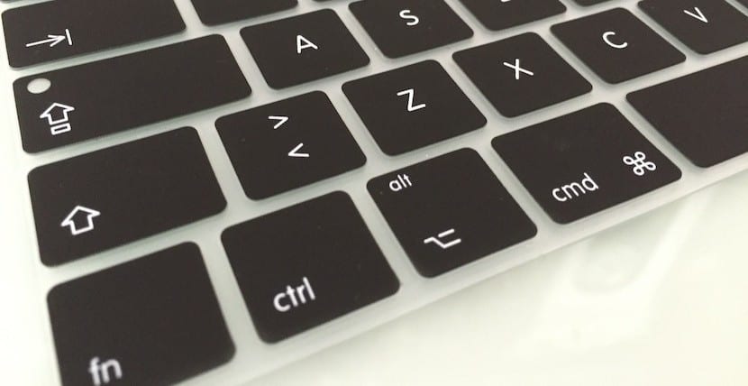 Un equipo de opciones y variedad para los usuarios 