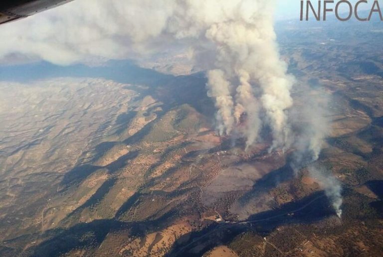 Estabilizado el incendio forestal de Alcaracejos (Córdoba) tras afectar a unas 370 hectáreas