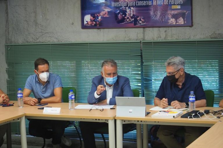 Se da por controlado el fuego de La Palma que afecta a 300 hectáreas