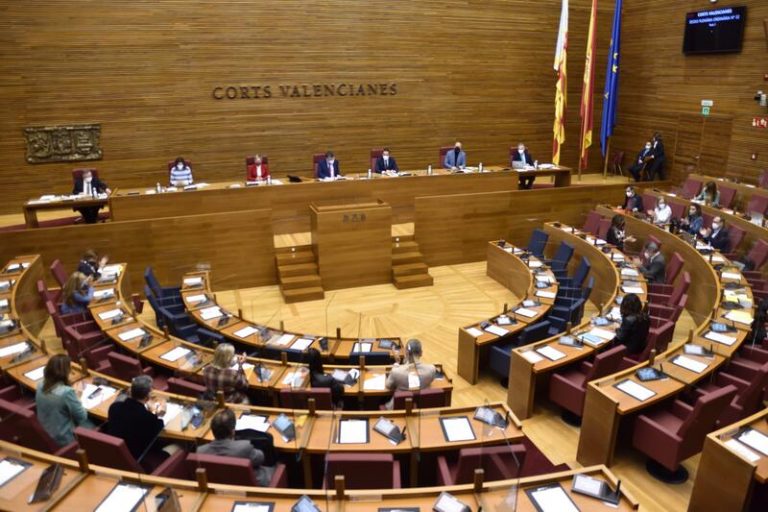 Diputada de Vox en las Cortes Valencianas deja el grupo parlamentario