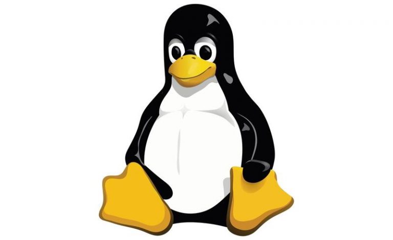 Se cumplen 30 años del anuncio de Linux, el sistema operativo abierto en el que se basó Android