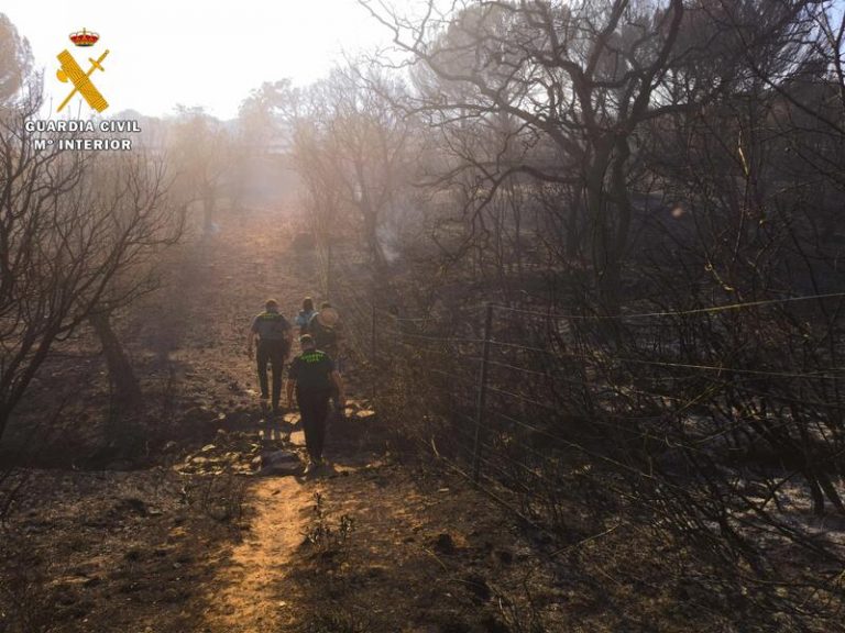 El PP de Andalucía pide al Gobierno que incluya a Alcaracejos como zona catastrófica