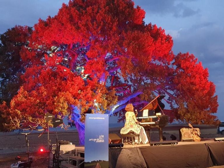 La sabina milenaria de Blancas competirá en 2022 para ser Árbol Europeo del Año