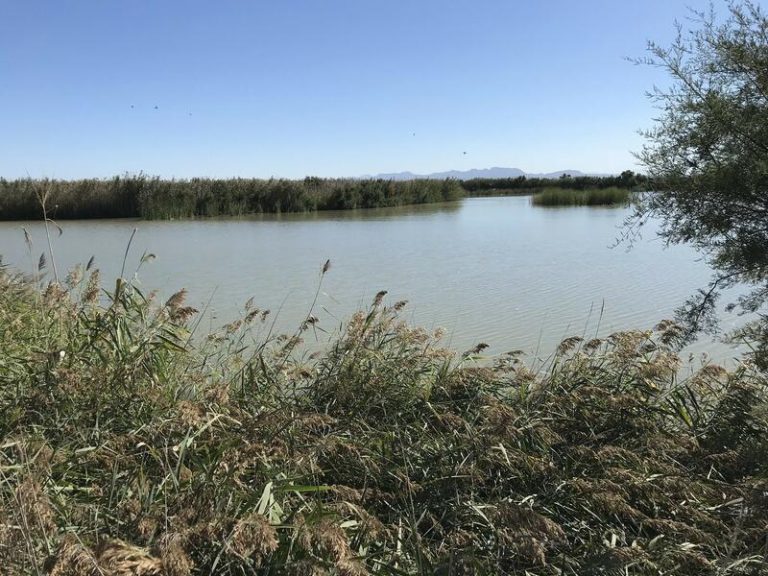 Ribó valora la labor de los valencianos para proteger la Albufera