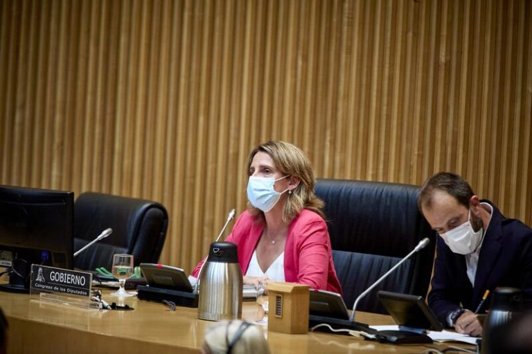 Ribera señala a la hidroeléctrica por el alza de la luz