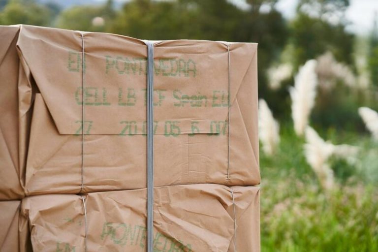 Ence: Los productos de origen natural ya suponen un 14% de las ventas en su división de celulosa