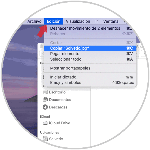 Opciones de documentos 