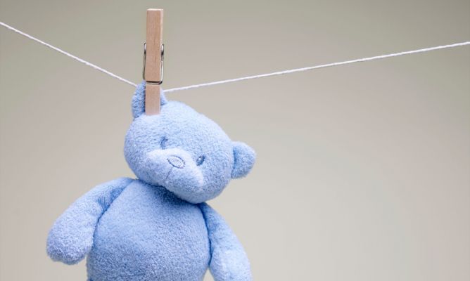 Peluches limpios, secos y bien cuidados