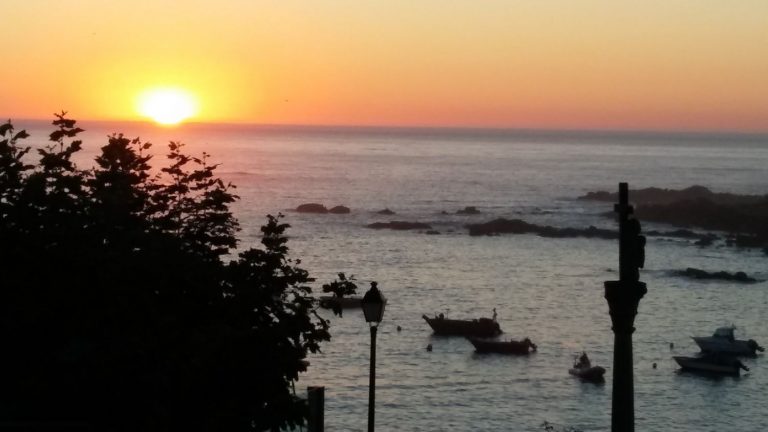 Abierto el plazo para pedir ayudas para proyectos de I+D+i en el sector pesquero y acuícola